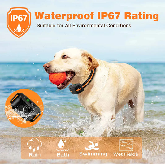 PawsJoyStore™ Waterproof Electric Dog Training Collar